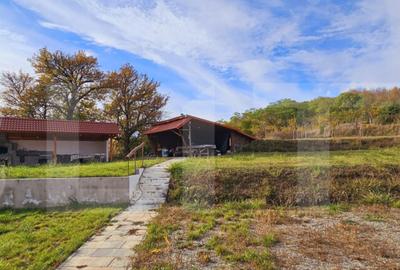 Casă cu 2 camere cu Teren 1883 Mp în Sâncraiu - 2