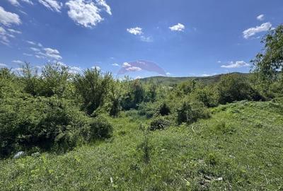Proprietate specială, de 2,497 mp, în Central - 5