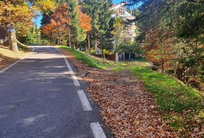 Teren Construcții intravilan de 2000 mp, în Poiana Brașov - 5