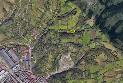 Resita, Teren Drept Intravilan, Langa Prau si Drum, Parcelabil, 4500 Mp., 15 Euro Mp., Renk - 9