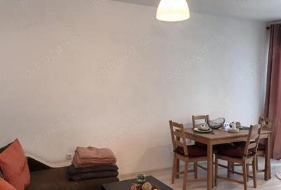 Apartament cu 2 camere semidecomandat în Dudu - 2