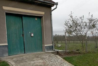 Casa vanzare Doclin, jud Caras Severin, pre? 50000 euro - 2