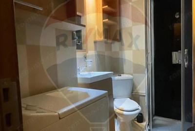 Apartament cu 1 camera de inchiriat in zona Brazda lui Novac - 7