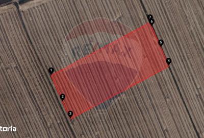 Spațiu comercial, în Central - 2