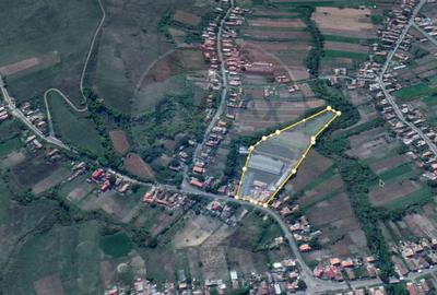 Teren intravilan | toate utilitatile | potential urias - 7