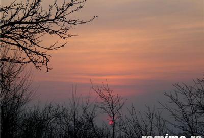 Teren de 40000 mp, în Spineni - 1