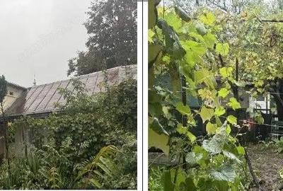 Casă cu 3 camere cu Teren 237 Mp în Central