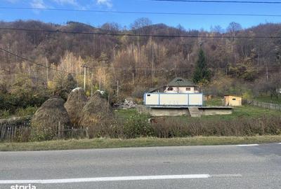 Teren de 1190 mp, în Șotrile - 5