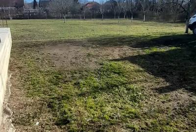 Casa de vanzare! - 2