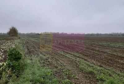 Teren Investi?ie aproape de Bucure?ti - 9