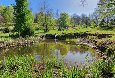 Când simți că ți-a lipsit ceva, e probabil Maramureșul. - 3