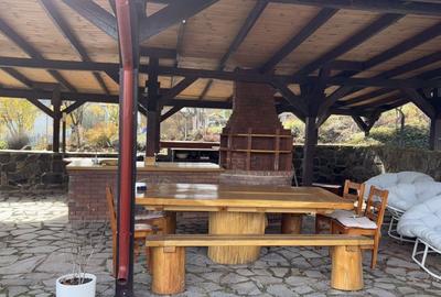 Proprietate multifuncțională sub pădure – locuință principală + spațiu de relaxa - 8