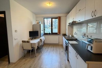 Apartament cu 2 camere semidecomandat în Valea Lupului - 9