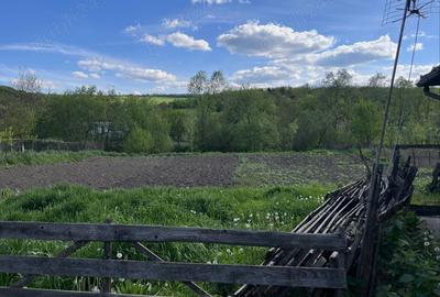 Vand casa in Luna de Jos - 5