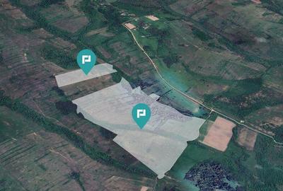 Teren de 87 Hectare de Arendat in Bara, Timi? - 1