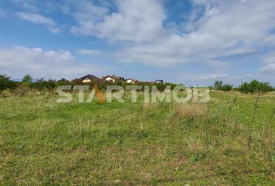 Teren Intravilan Tarlugeni - 5