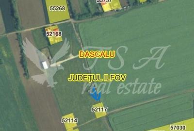 Teren Intravilan 825mp Cu dubla deschidere si Drum de servitute, Dascalu  Ilfov - 14