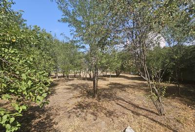 Vanzare Teren Baneasa Lac=Petrom City - 8