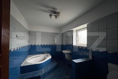 Casa cu 7 camere, 4 bai, 330 mp, 900 mp curte, zona Ford - 13