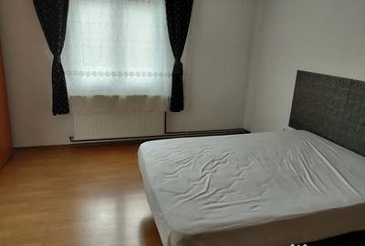 Garsonieră decomandată în Turnișor - 5