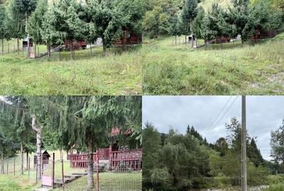 Casă cu 4 camere în Anieș - 5