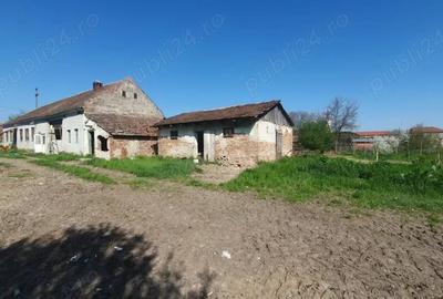 Casă cu 5 camere în Zădăreni - 4