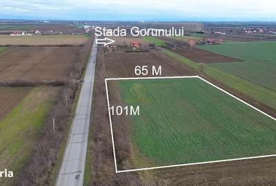 Teren de 6600 mp, în Botizului - 5