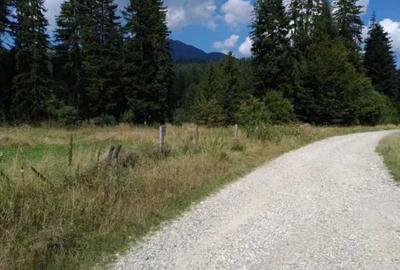 Spațiu comercial, în Timișu de Sus