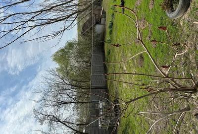 Vand Casa in Hisia? Comuna Ghizela Jude?ul Timi? - 6