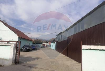 Afacere la Cheie - Spa?iu comercial in Hoghilag Taram... - 16