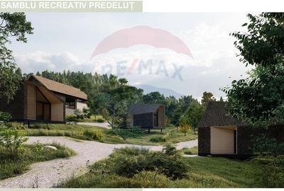 Teren Construcții intravilan de 24253 mp, în Predeluț - 8