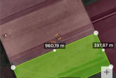 Teren de 300000 mp, în Matca - 1