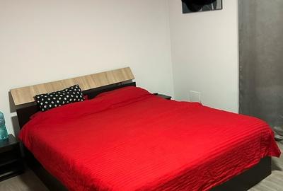 Casă cu 4 camere cu Teren 315 Mp în Exterior Vest - 2