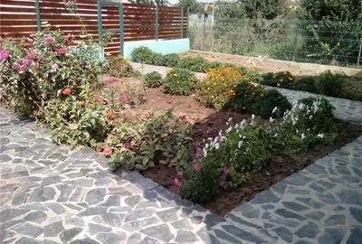 Casă cu 3 camere în Valu lui Traian - 8