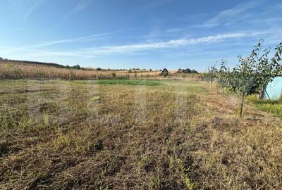 Teren extravilan, 500 mp, Oarda de Jos - 1