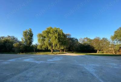 2 Hale cu birouri, vestiare, sala de mese si grupuri sanitare, teren 8868mp, E60, Tileagd BH, - 9
