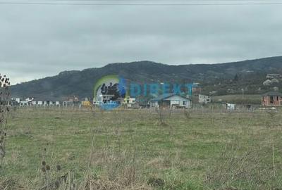 Teren de 1328 mp, în Central - 4