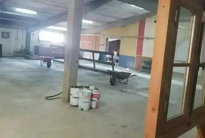 Inchiriez spa?iu in parc industrial Areli Satu Mare - 3