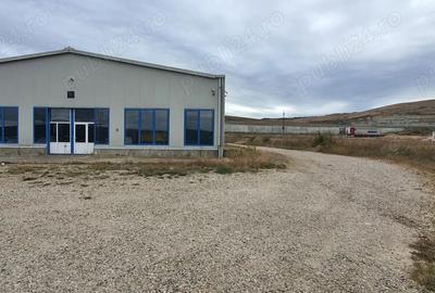 Hala de inchiriat - 4