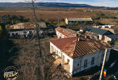 FILM! Casa boieresca autentica,domeniu de 4.000 mp intravilan,in podgoriile Odob - 14