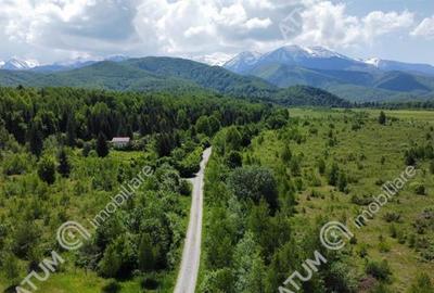 Teren de vanzare in Avrig zona Valea Avrigului 2800 mp - 2