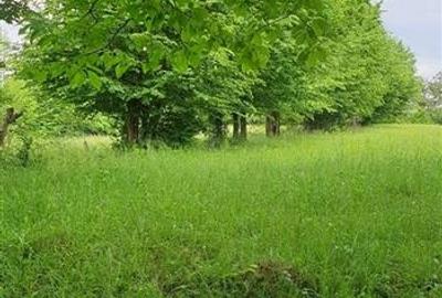 Teren Construcții extravilan de 5000 mp, în Cerdac - 5