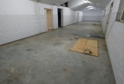 Spațiu industrial, de 1,800 mp, în Ineu - 3