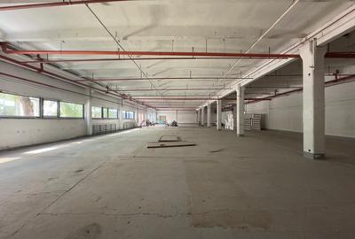 Spatii depozitare, restaurant, birouri, de la 400mp la 1600mp, zona C. Felicia - 11