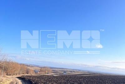 Teren I Suceava I Moara Nica I 2500 Mp I 54.900 Euro - 2