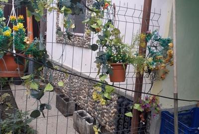 Casă cu 2 camere în Andrei Șaguna - 3