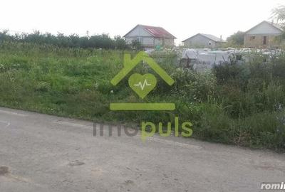 ? Teren Giurgiu, sat. Podisor, com. Bucsani? - 3