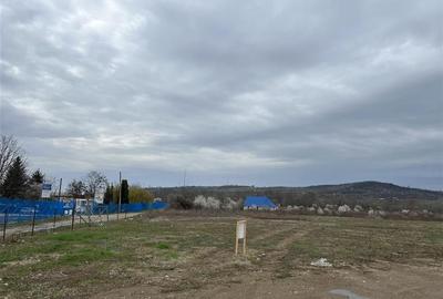 RECO IMOBILIARE ,TEREN Tineretului - 7