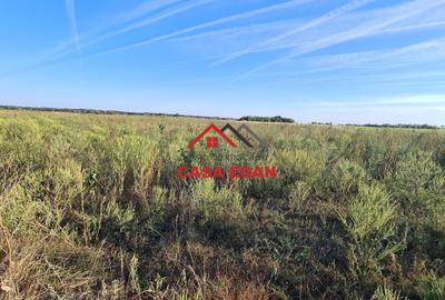 Teren extravilan in Urleta--5000m--21.000e - 7