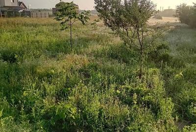 Teren de 4200 mp, în Giarmata - 2